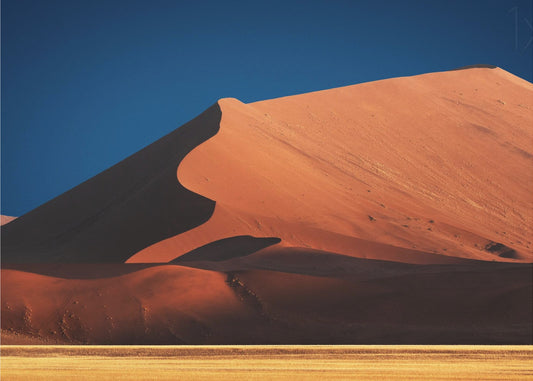 Curves in color | Canvas