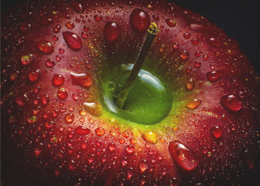 Red Apple | Canvas