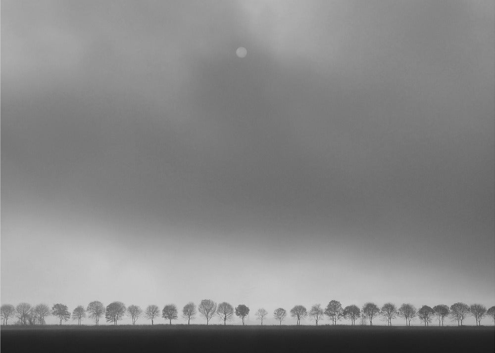 Polderlandschaft | Leinwand