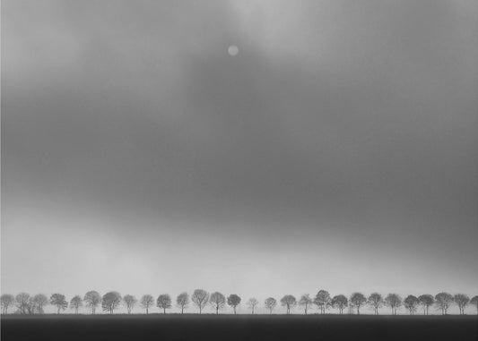 Polderlandschaft | Leinwand