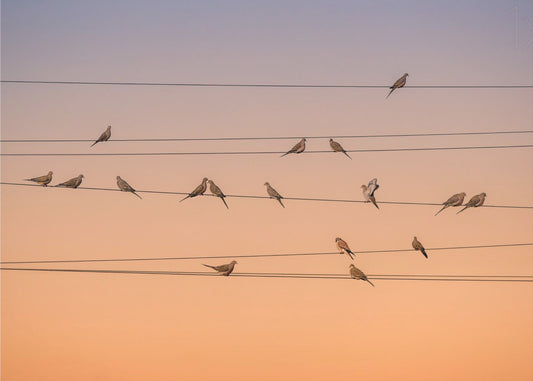 Music of Light | Canvas