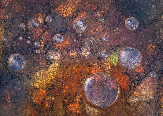 Winter Over Autumn | Canvas