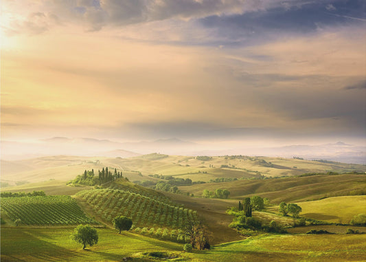 Podere Belvedere's Sonnenaufgang | Leinwand