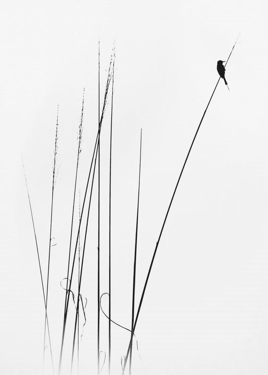 a sabbatical | Canvas
