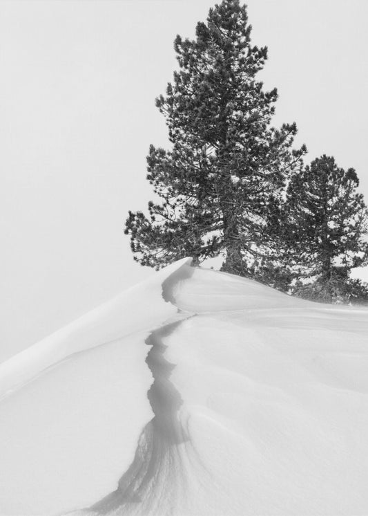 Über Schnee und Formen | Poster