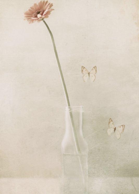 Miss Daisy | Leinwand