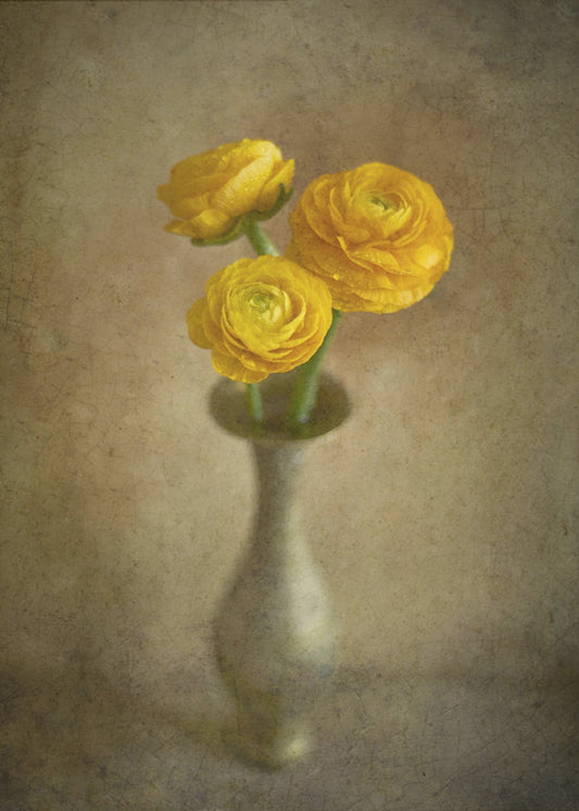 Gelbe Butterblumen | Leinwand