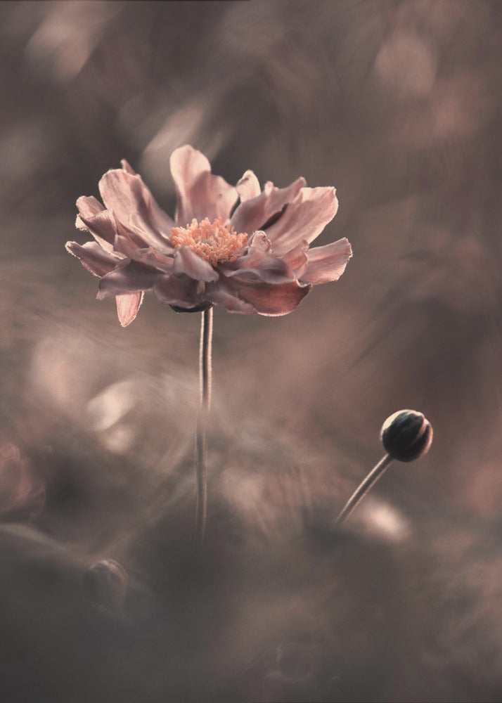 Un présent et un futur révolus. Un passé présent | Canvas
