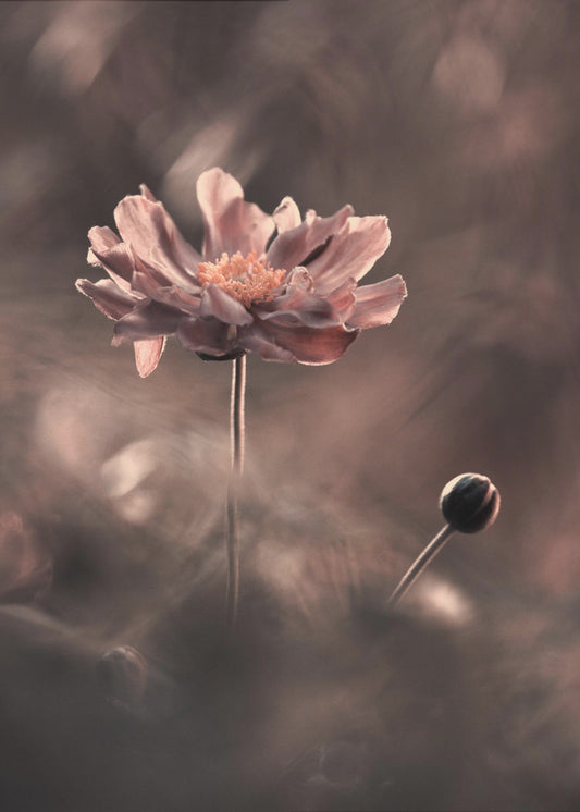 Un présent et un futur révolus. Un passé présent | Canvas