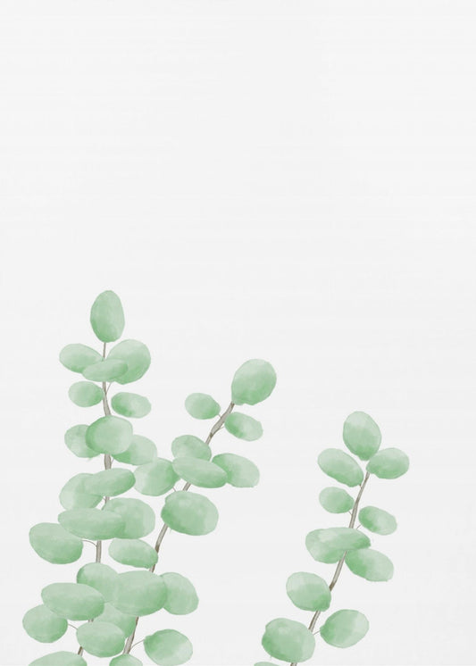 Branches | Canvas