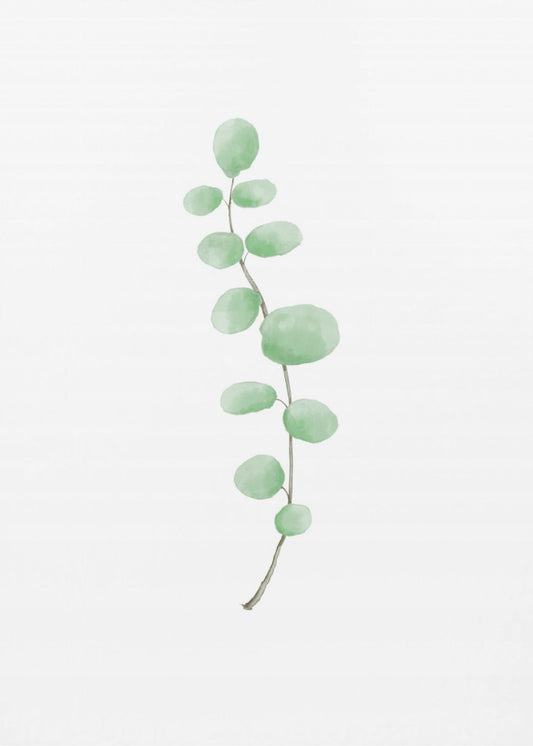 Branch | Canvas
