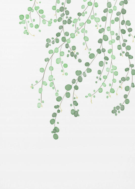 Birch Tree | Canvas