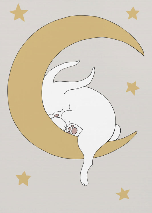 The Rabbit | Canvas