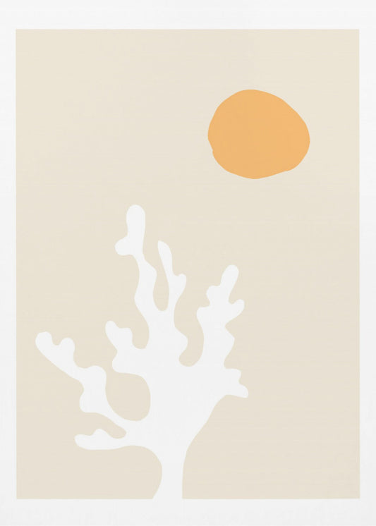 Seaweed in the Sun | Canvas