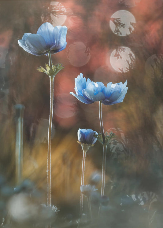 A riot of colors in a grey and dreary world | Canvas