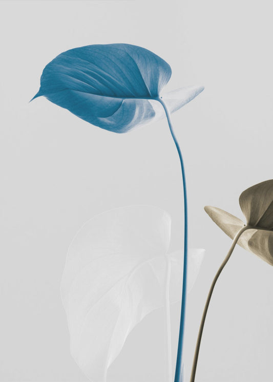 Monstera Creative 19 | Leinwand
