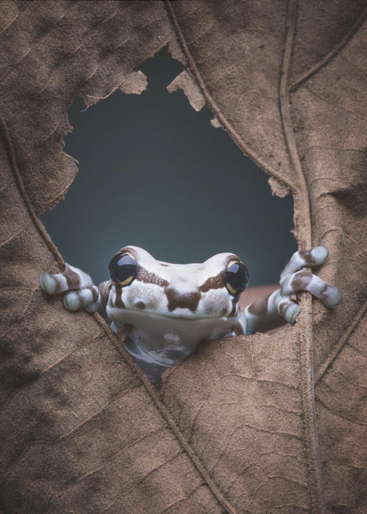 hello... | Poster