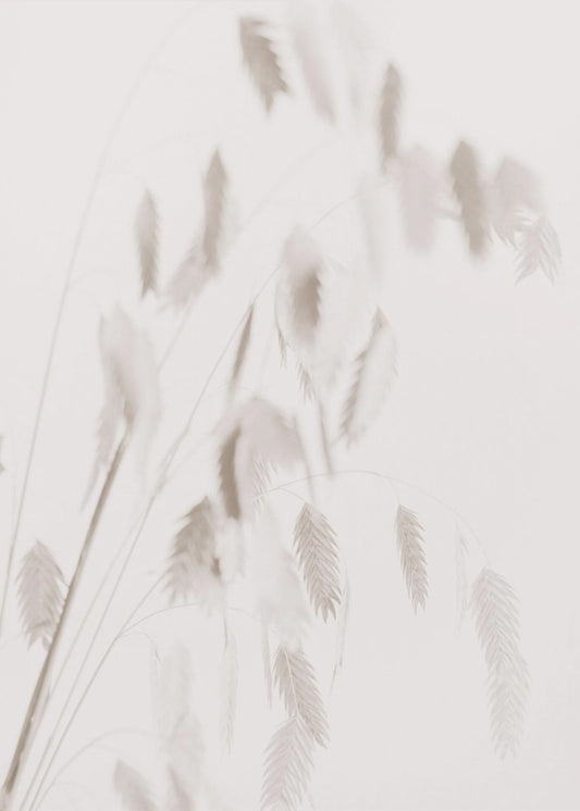 Getrocknetes Gras_rosa | Poster