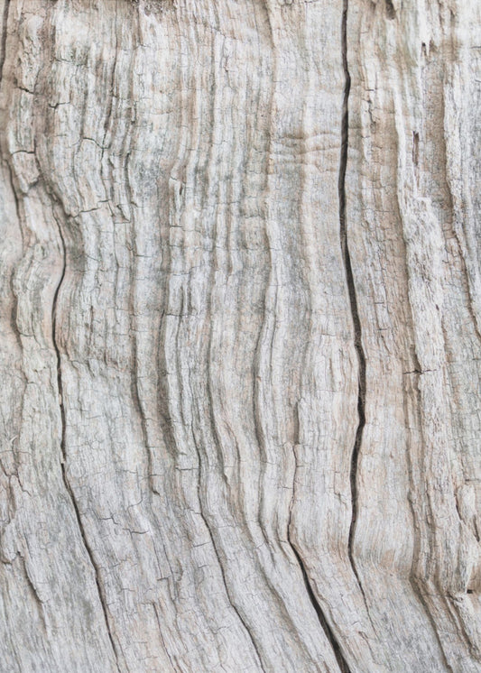 Wood Pattern | Canvas