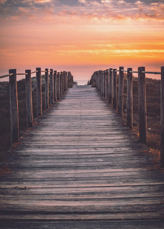 The path | Poster