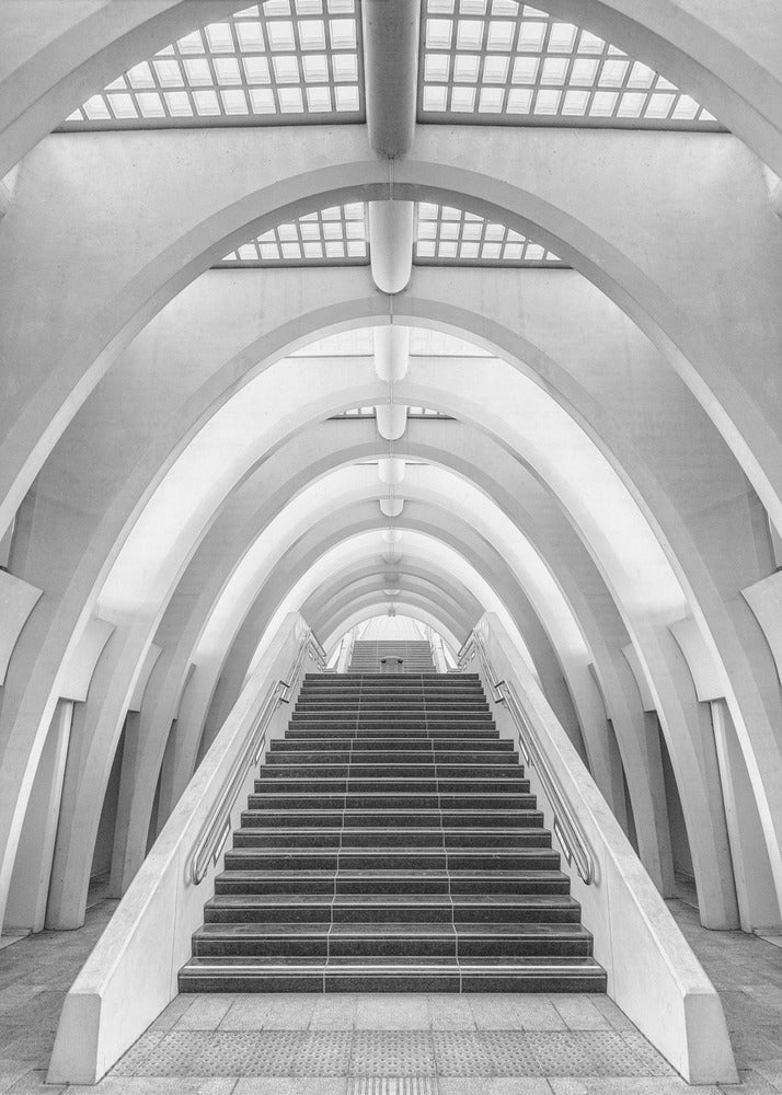 Calatrava-Linien | Poster