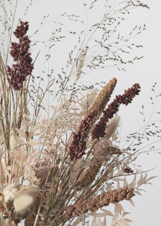 Dried_001 | Canvas