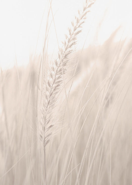 Grass_001 | Poster