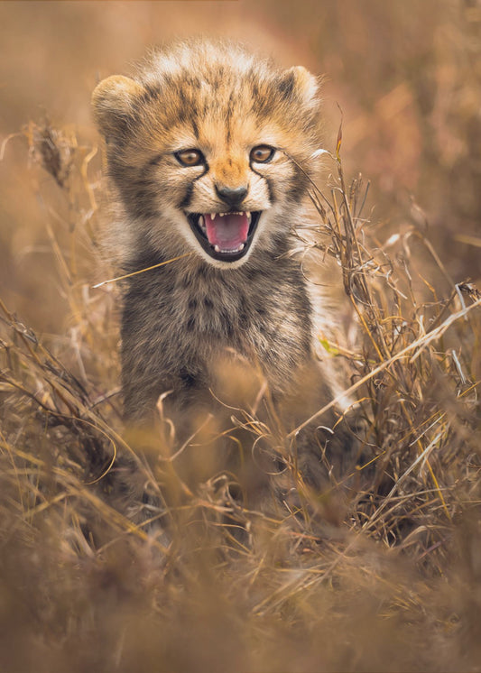 Big Smile | Poster