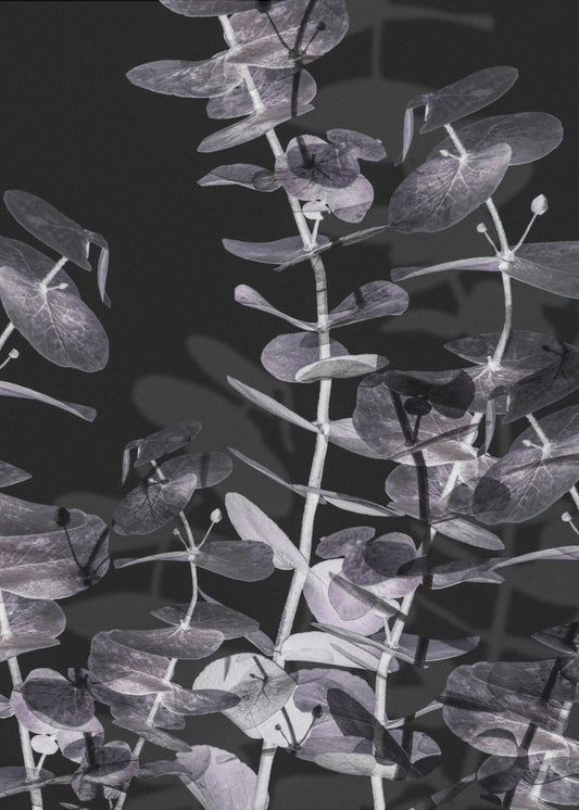 Eucalyptus_Negative_002 | Canvas