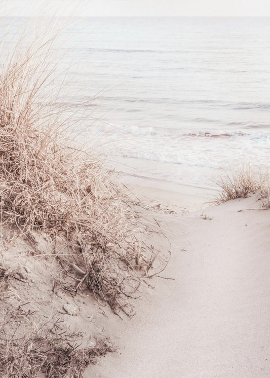 Beach_010 | Canvas