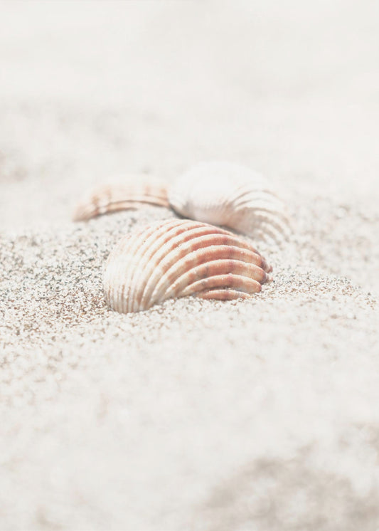 Beach_013 | Canvas