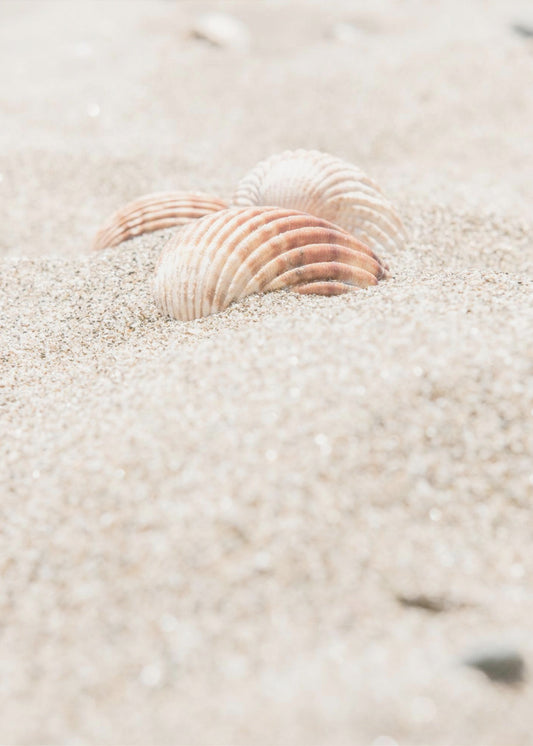 Beach_014 | Canvas