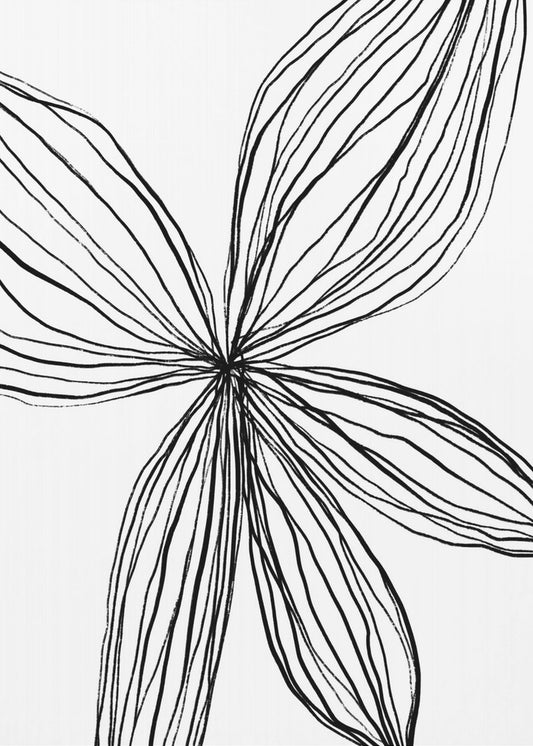 Elegant Petals | Poster