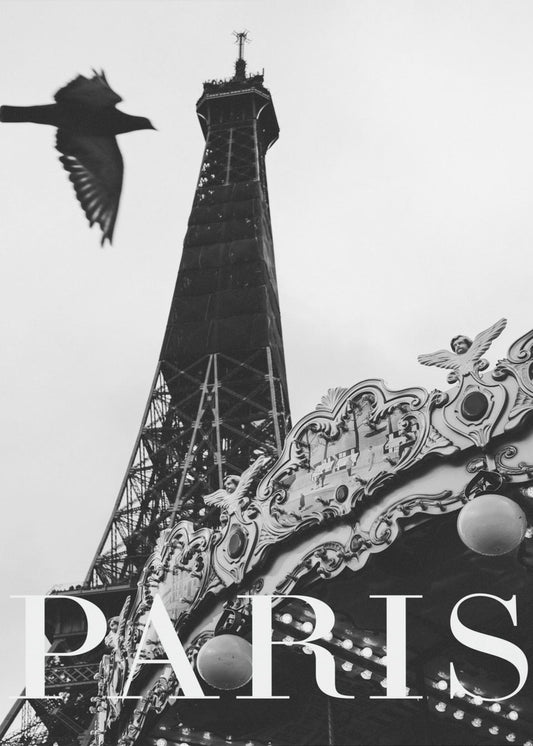 Pariser Taube | Poster