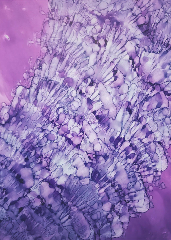 Sie verkauft Muscheln | Poster