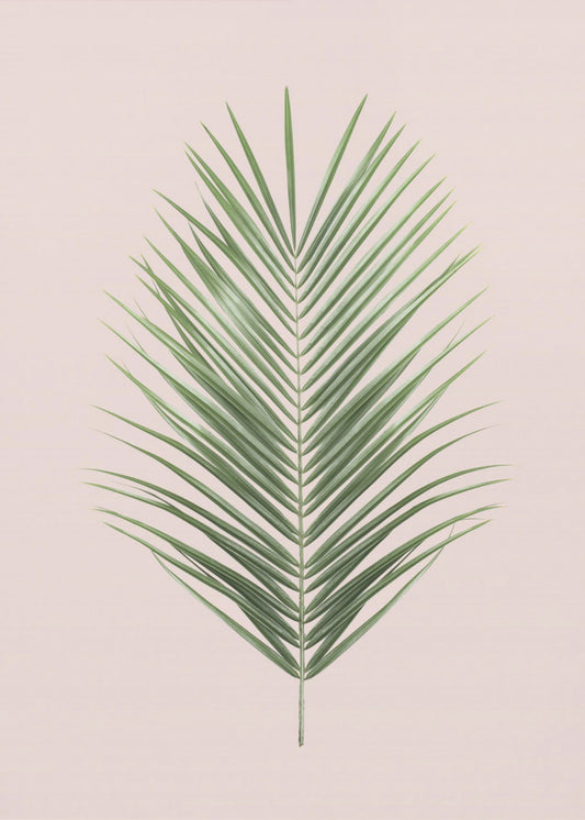 Palmblatt-Rouge | Leinwand