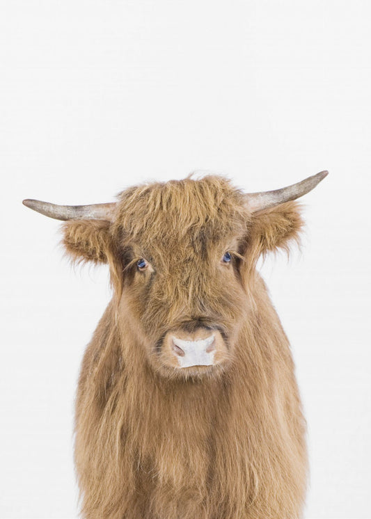 Baby Cow | Canvas