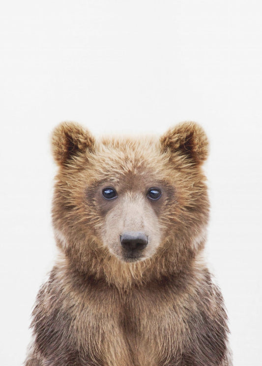 Baby Bear | Canvas