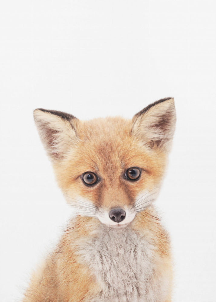 Baby Fuchs | Leinwand