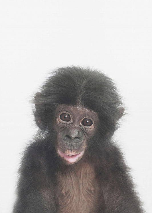 Baby Affe | Poster