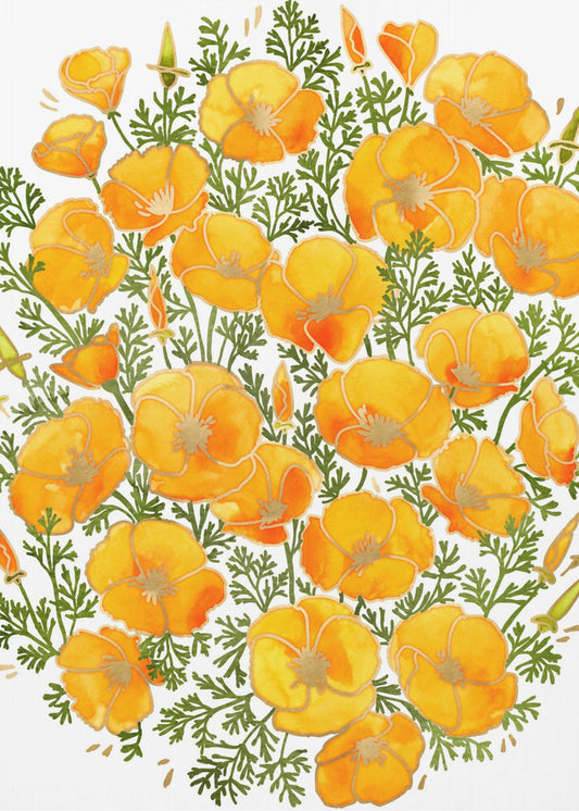 Gold accented California poppies | Canvas