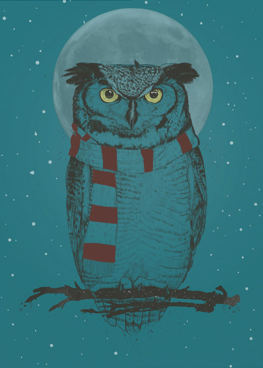 Wintereule | Poster