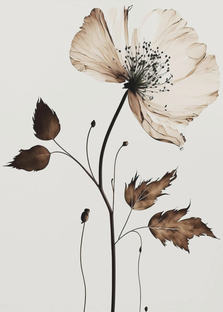 Whispering Blossom | Canvas