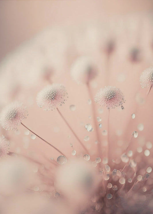 Dreamy Droplets | Poster