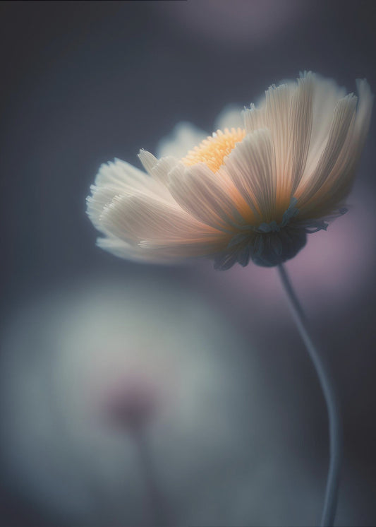 Ätherische Blüte | Poster