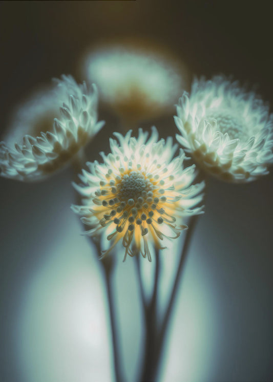Ätherische Blüten | Leinwand