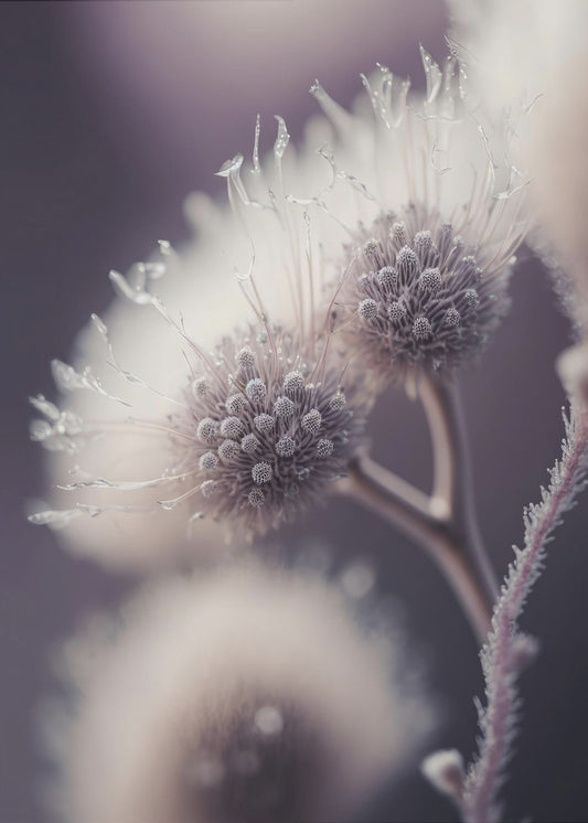 Ätherische Blüten | Poster