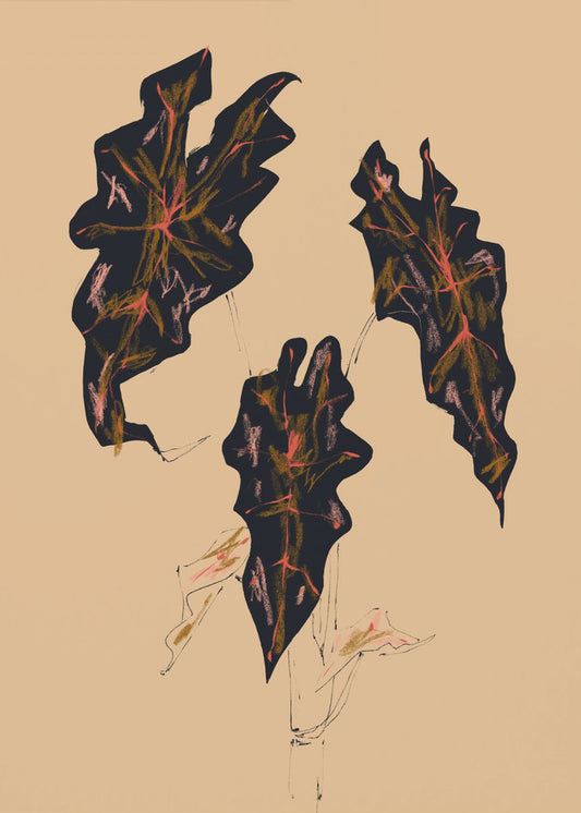 Alocasia Polly Beige | Poster