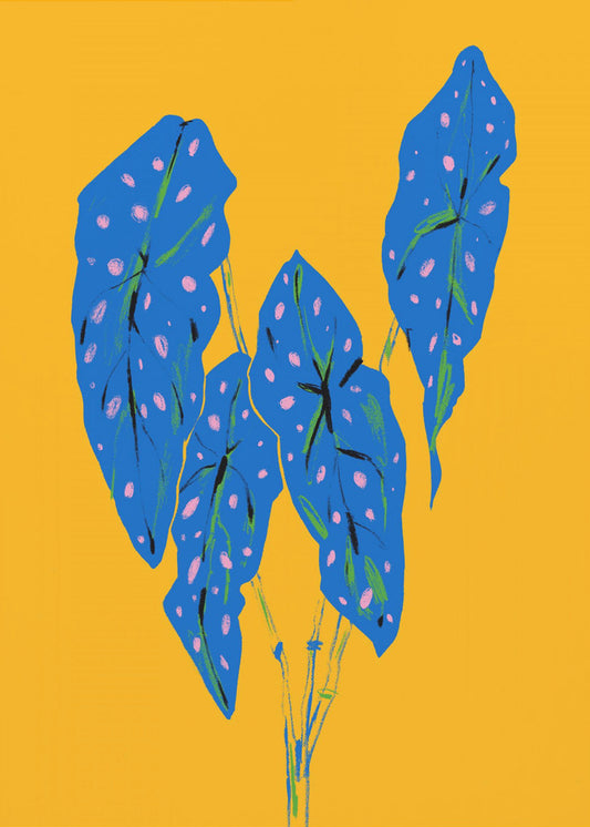 Begonia Maculata Blau und Gelb | Leinwand