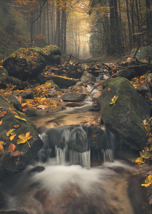 Verträumter Herbst | Poster